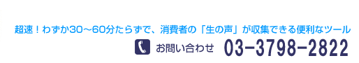 超速!わずか30〜60分たらずで、消費者の「生の声」が収集できる便利なツール お問い合わせ03-5786-1091